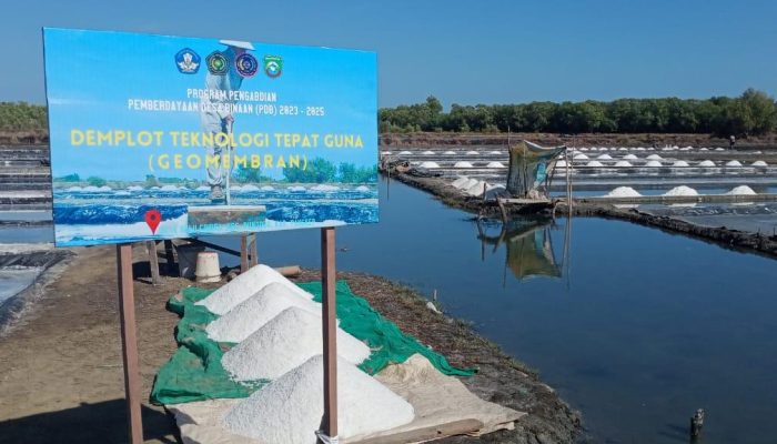 Tim Dosen Unismuh Makassar Diseminasi Teknologi Geo-membran di Seminar Internasional ICAFFA 2024
