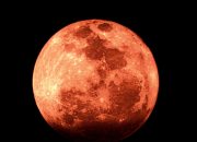 Langit Juni Disapa Bulan Stroberi, Observatorium Unismuh Fasilitasi Pengamatan