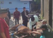 Unismuh Makassar Potong 38 Ekor Hewan Kurban, Rektor Ajak Teladani Keikhlasan Nabi Ibrahim