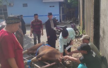 Unismuh Makassar Potong 38 Ekor Hewan Kurban, Rektor Ajak Teladani Keikhlasan Nabi Ibrahim