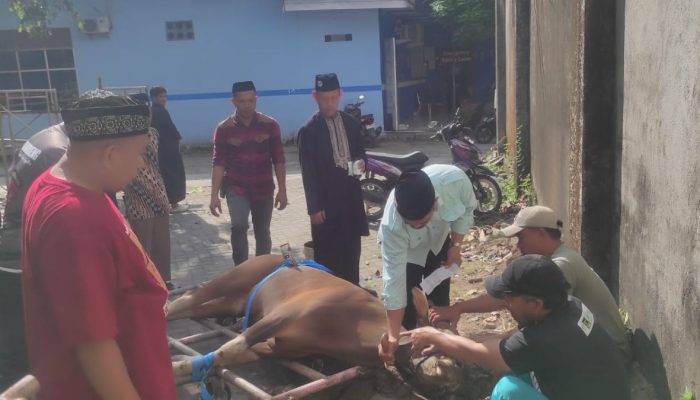 Unismuh Makassar Potong 38 Ekor Hewan Kurban, Rektor Ajak Teladani Keikhlasan Nabi Ibrahim